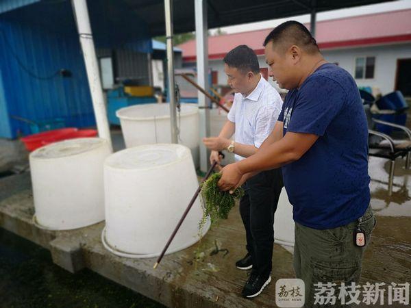 漁村小農(nóng)民的成長(zhǎng)之路，從田野到未來的勵(lì)志之旅