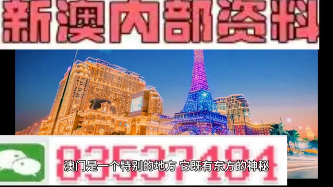 2024澳門免費資料,正版資料,思維科學詮釋_旗艦款81.456