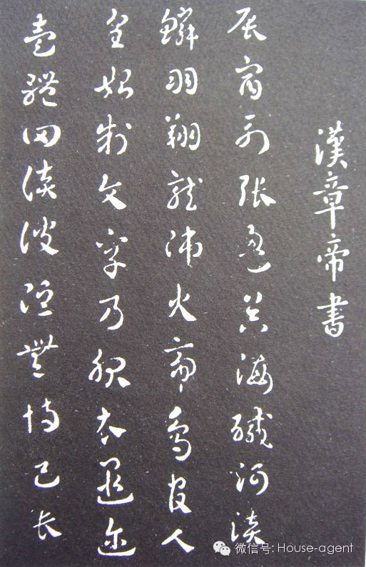 許安好蕭衍最新技能學(xué)習(xí)與實(shí)踐指南