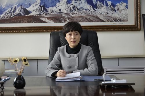 包頭市人大常委會最新公告及其觀點論述解析