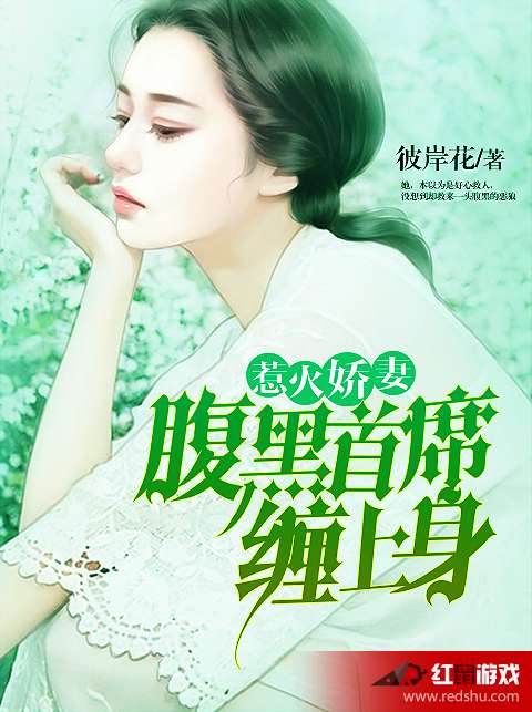 監(jiān)控設(shè)備 第236頁(yè)