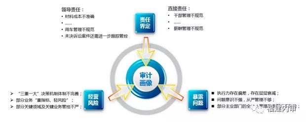 最新審計案例深度解析
