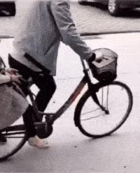 大群新動態(tài),大群新動態(tài)