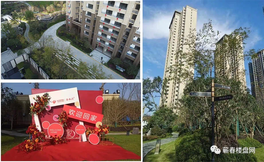 蘄春最新住宅項(xiàng)目的多維度解析與觀點(diǎn)闡述