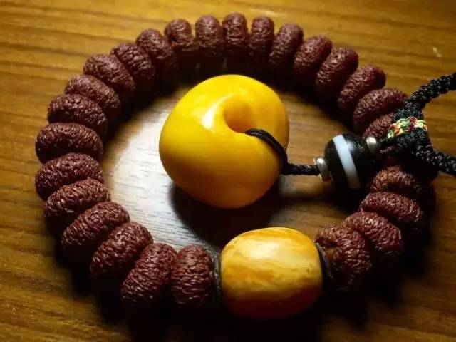 菩提學(xué)會(huì)最新動(dòng)態(tài)更新 ????