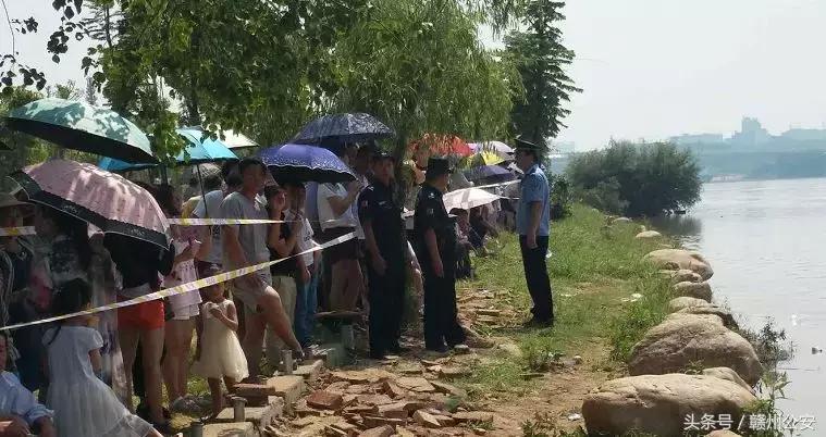 贛州龍舟大賽2025，科技盛宴，心跳體驗(yàn)之旅