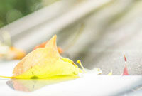 英雄聯(lián)盟最新頭像大全及更換頭像詳細(xì)步驟指南