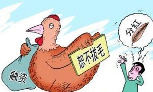 股票分紅一覽表，愛的傳遞與股市紅利的雙重呈現(xiàn)