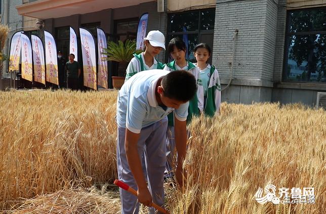 濟(jì)南玉米價(jià)格最新動(dòng)態(tài)更新