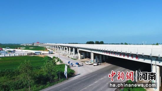 安羅高速最新動(dòng)態(tài)速遞 ??