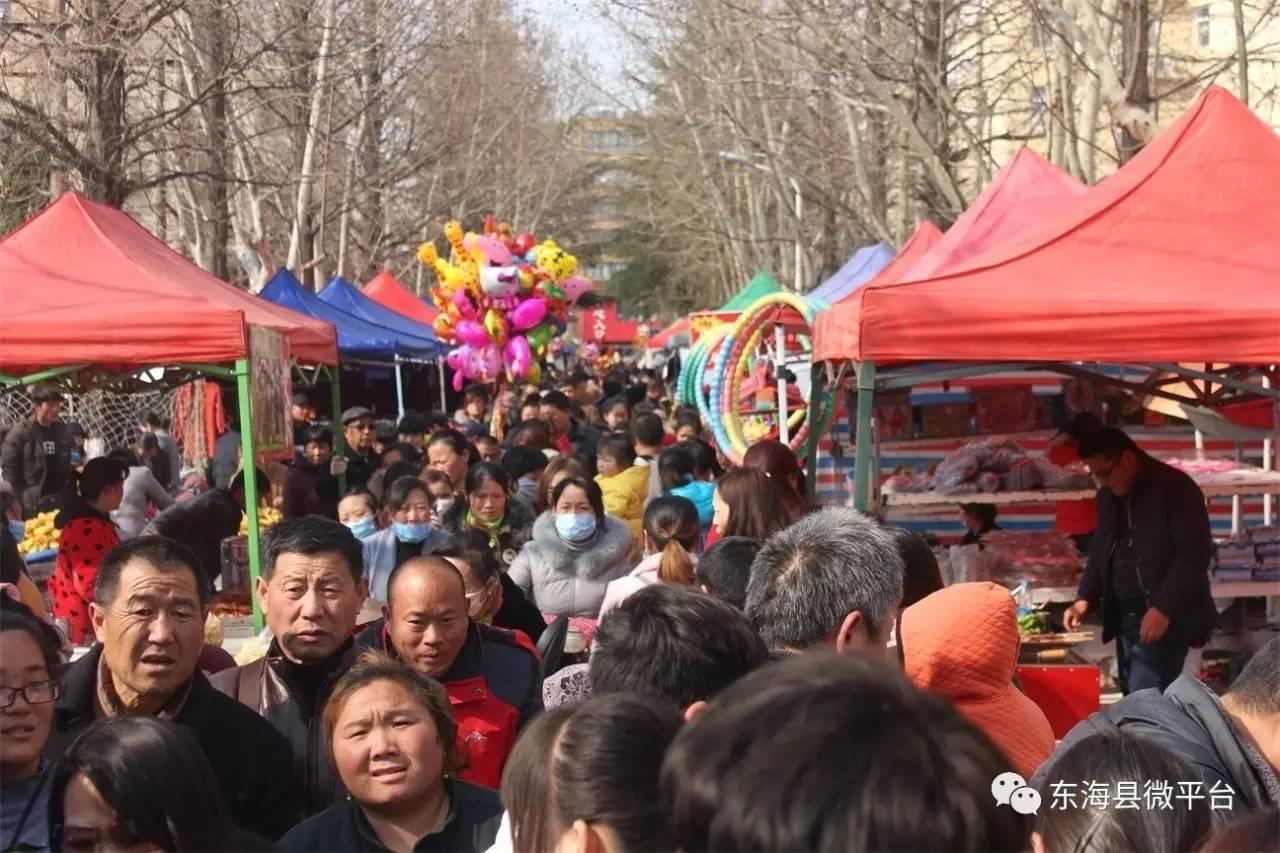 東海縣臺(tái)玻最新招聘啟事，科技革新未來(lái)，共筑夢(mèng)想之旅！