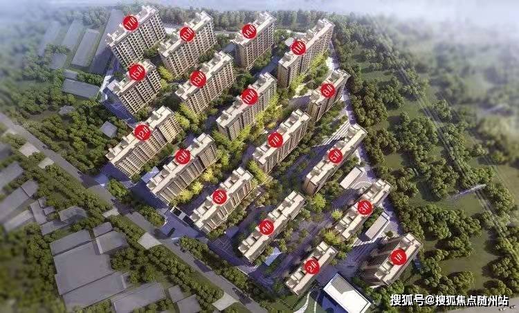 揭陽桑拿論壇最新動(dòng)態(tài)揭秘