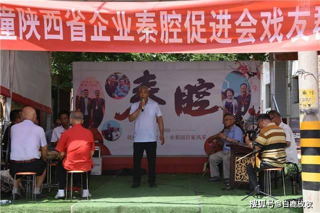 渭南東秦百姓最新動態(tài)概覽