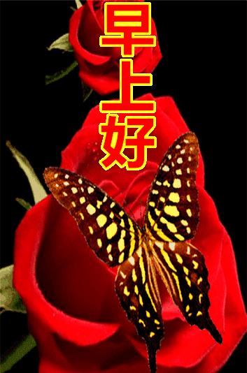 擁抱最新自我，自信閃耀在變化中